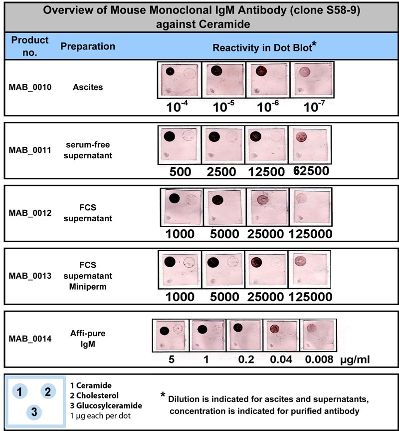 Sensitivity in dot-blot